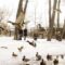 Things to Do This Winter in Calgary