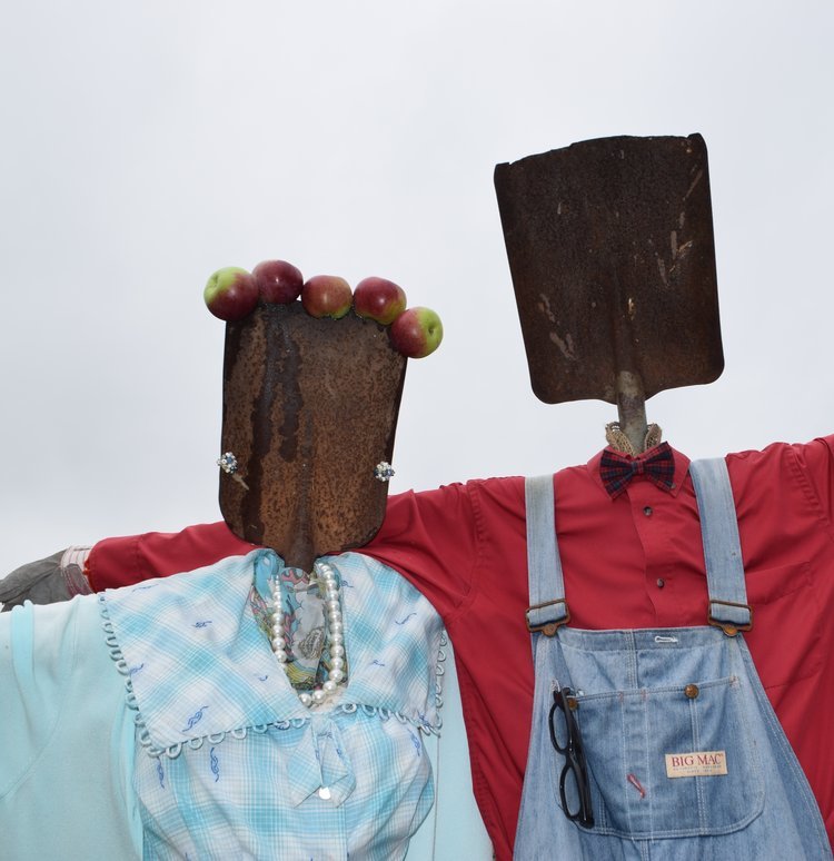 Places to Go For Apple Picking in Greater Toronto Area & Hamilton