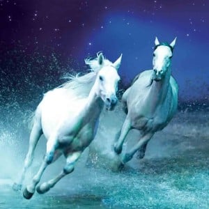 cavalia2