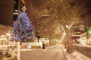 2025 Christmas Events in Hamilton - Santa Parades, Lights, Carols & Theatre