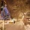 2025 Christmas Events in Hamilton - Santa Parades, Lights, Carols & Theatre