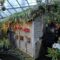 christmas-show-Allan-6