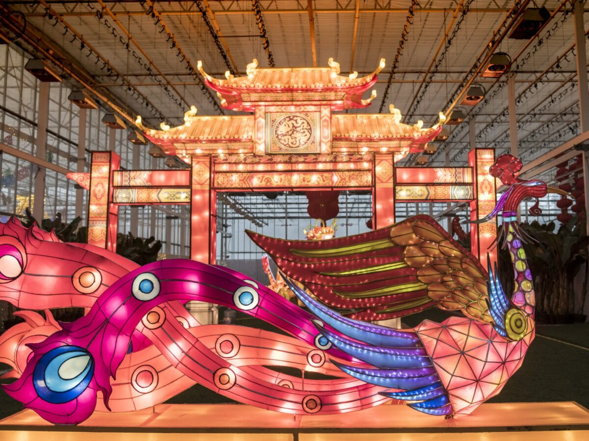 Travel the World in a Night What to Expect When Glow Gardens Halifax