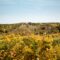 25+ Outdoor Adventures in Southwest Manitoba