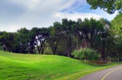 25 Nature Attractions & Parks to Explore in Calgary