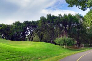 25 Nature Attractions & Parks to Explore in Calgary