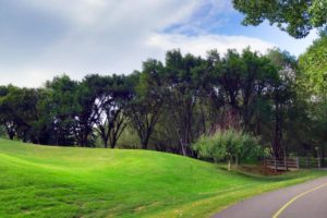 25 Nature Attractions & Parks to Explore in Calgary
