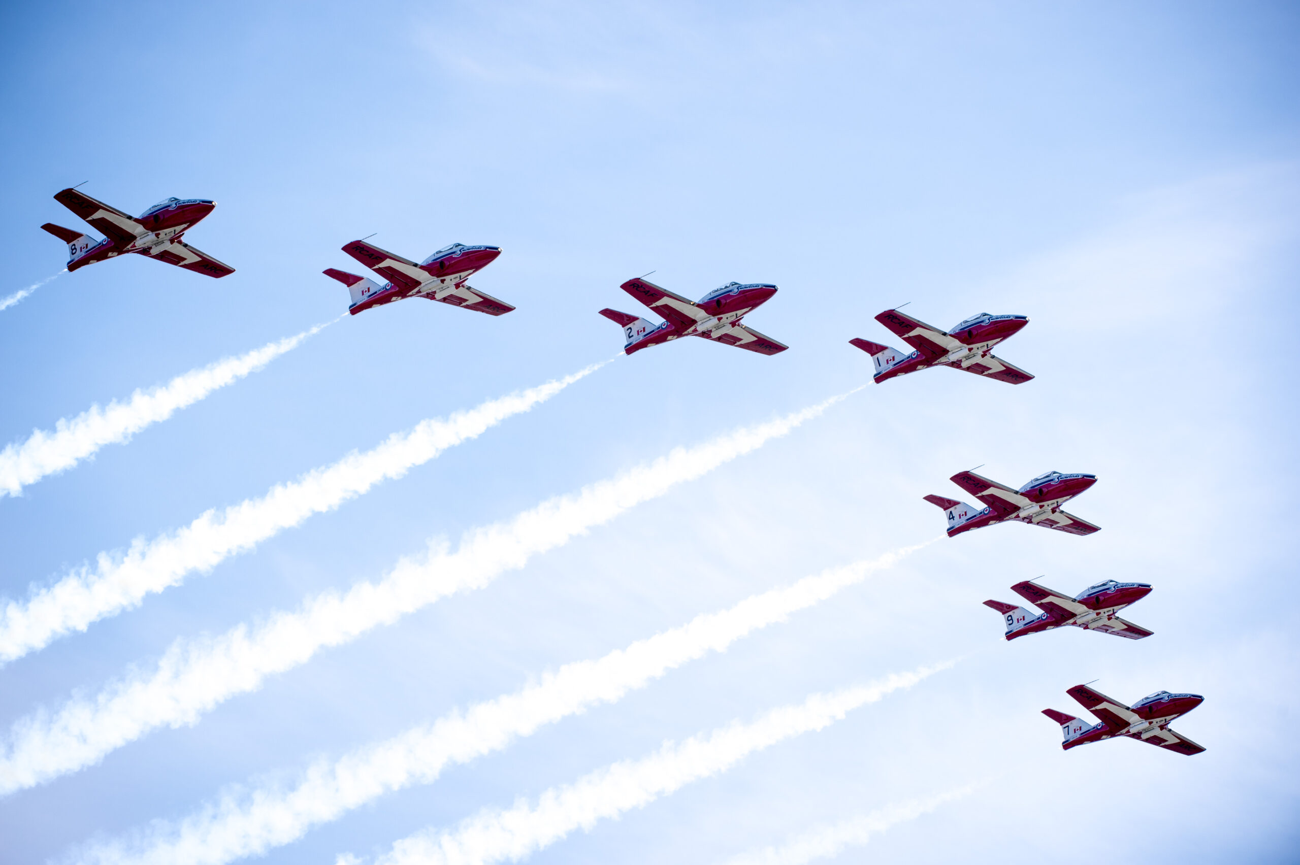 Snowbirds