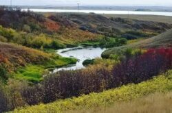 15 Saskatchewan Parks Offer Fall Camping Experiences