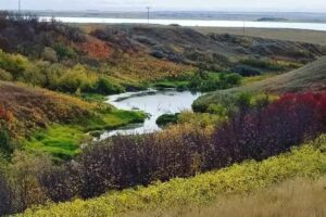 15 Saskatchewan Parks Offer Camping Experiences This Fall