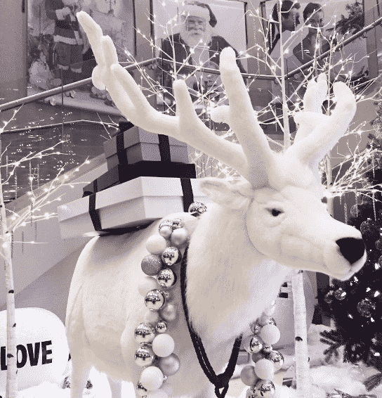 Winter Festival of Lights