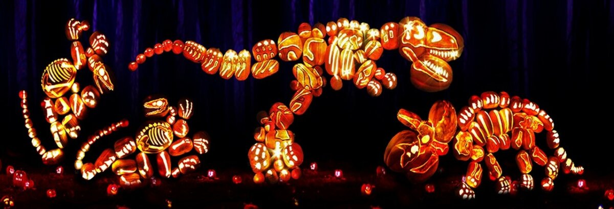 Pumpkins After Dark