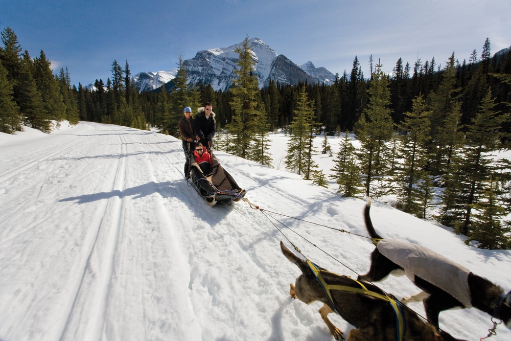 Photo Credit: Banff Lake Louise Tourism/Paul Zizka