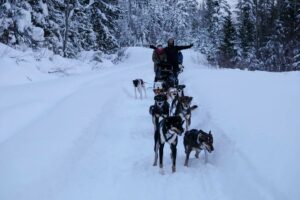 Winter Activities and Adventures in Revelstoke
