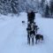 Winter Activities and Adventures in Revelstoke