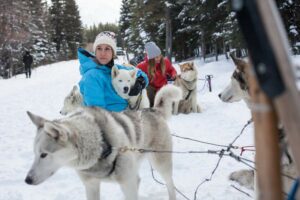 Dog Sledding around Banff National Park