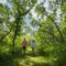 25 Hiking Trails In and Around Regina