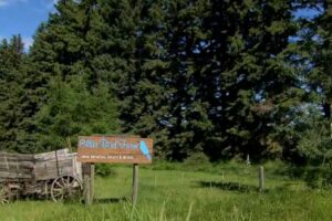 10 Weekend Getaways in Central Alberta