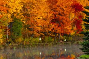 10 Awesome Hikes to Enjoy Fall Colours in New Brunswick