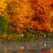 10 Awesome Hikes to Enjoy Fall Colours in New Brunswick