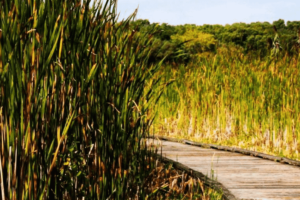 30+ Fun Fall Activities in and around Kitchener - Waterloo Region