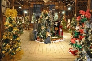 Festival of Trees