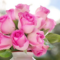 Things to Do to Celebrate Mother's Day in and Around Hamilton - 2026