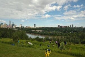 Edmonton Opens Registration for Free Forest Bathing Sessions