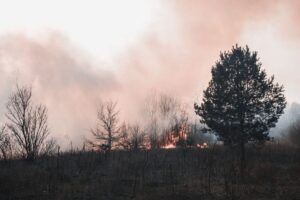 Province-Wide Fire Ban Now in Effect Across Newfoundland and Labrador