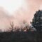 Province-Wide Fire Ban Now in Effect Across Newfoundland and Labrador