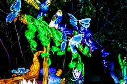 Toronto Zoo Set to Transform Into an Illuminated Wildlife Wonderland