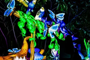 Toronto Zoo Set to Transform Into an Illuminated Wildlife Wonderland