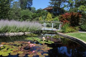 Fun Things to Do in Hamilton Area During COVID-19 Ontario Reopening Phase
