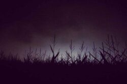 Halloween 2026 - Scary Haunted Attractions, Farms and Night Mazes in Ontario