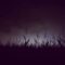 2025 Halloween Haunted Attractions, Farms and Night Mazes in Ontario