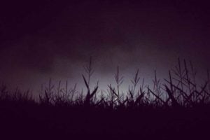 Haunted Corn Mazes & Farms in Ontario