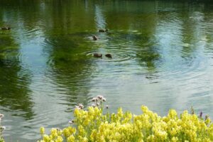 Exploring Alberta Capital Region and beyond: Day Trips From Edmonton
