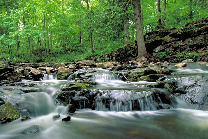 Summer Activities in Halton