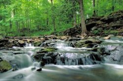 70+ Fun Things to Do This Summer in the Region of Halton - 2026
