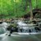 70+ Fun Things to Do This Summer in the Region of Halton - 2025