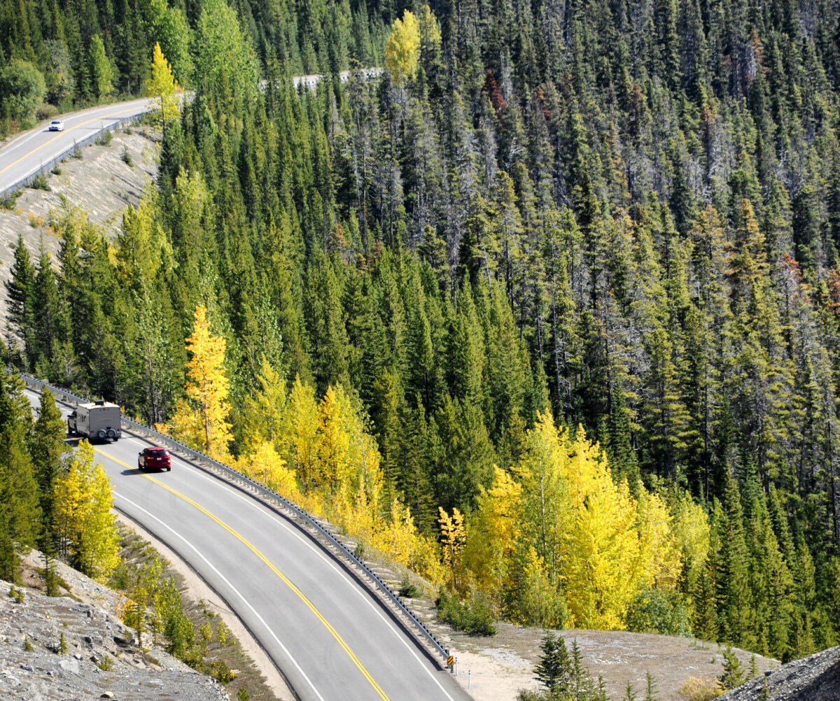 Icefields Parkway