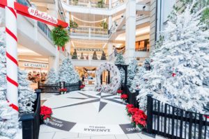 Family Fun Things to Do during Christmas- Winter Break in Victoria