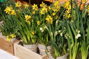 Restaurants For Mother's Day Brunch/Dinner Takeouts in Winnipeg