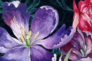 May Long Weekend Activities in Winnipeg 2019