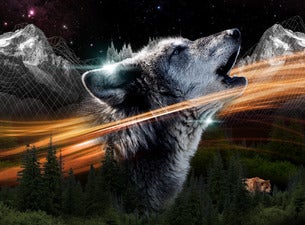 Northern Lights Music Festival