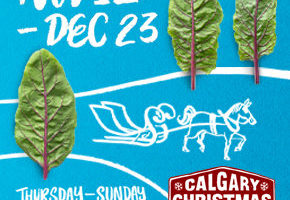 2020 Christmas Markets and Craft Fairs in Calgary