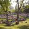 Shakespeare by the Bow 2019