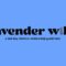 lavender wild: a one-day festival celebrating queerness