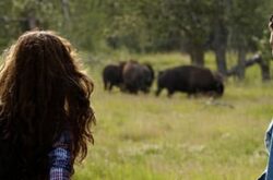10 History Themed Road Trips and Tours in Saskatchewan