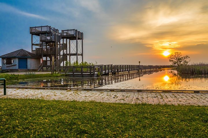 100+ Things to Do This Summer in Windsor and Essex County – 2026